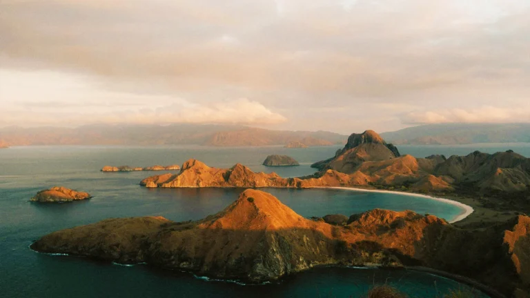 minimum the komodo traveller 3_11_11zon