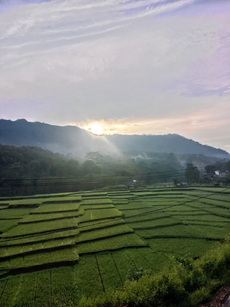 A photo of the spider web rice fields in Flores