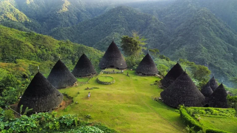 A photo of the "Mbaru Niang" houses of Wae Rebo