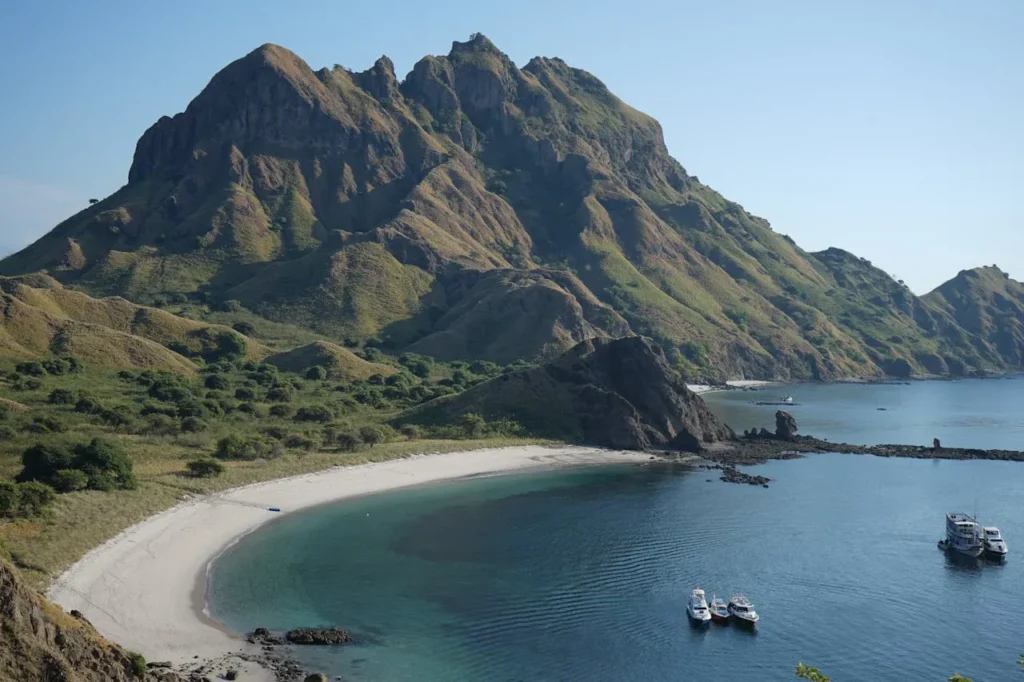Complete Komodo Island Travel Guide